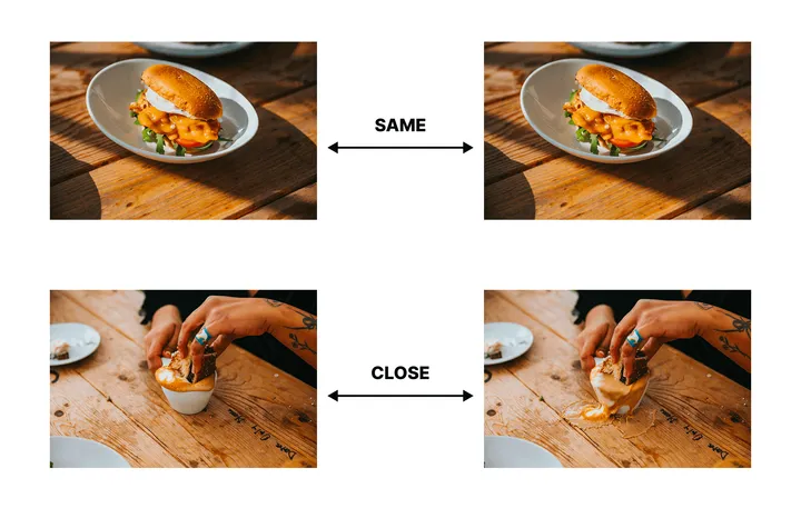 Example of same and closely similar images